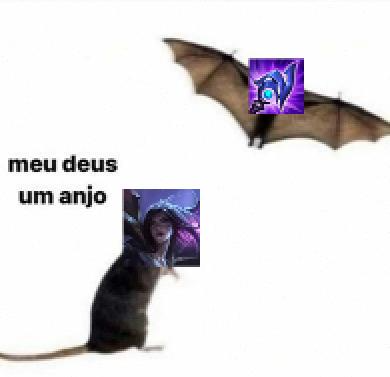 Acervo Kai'Sa tweet media