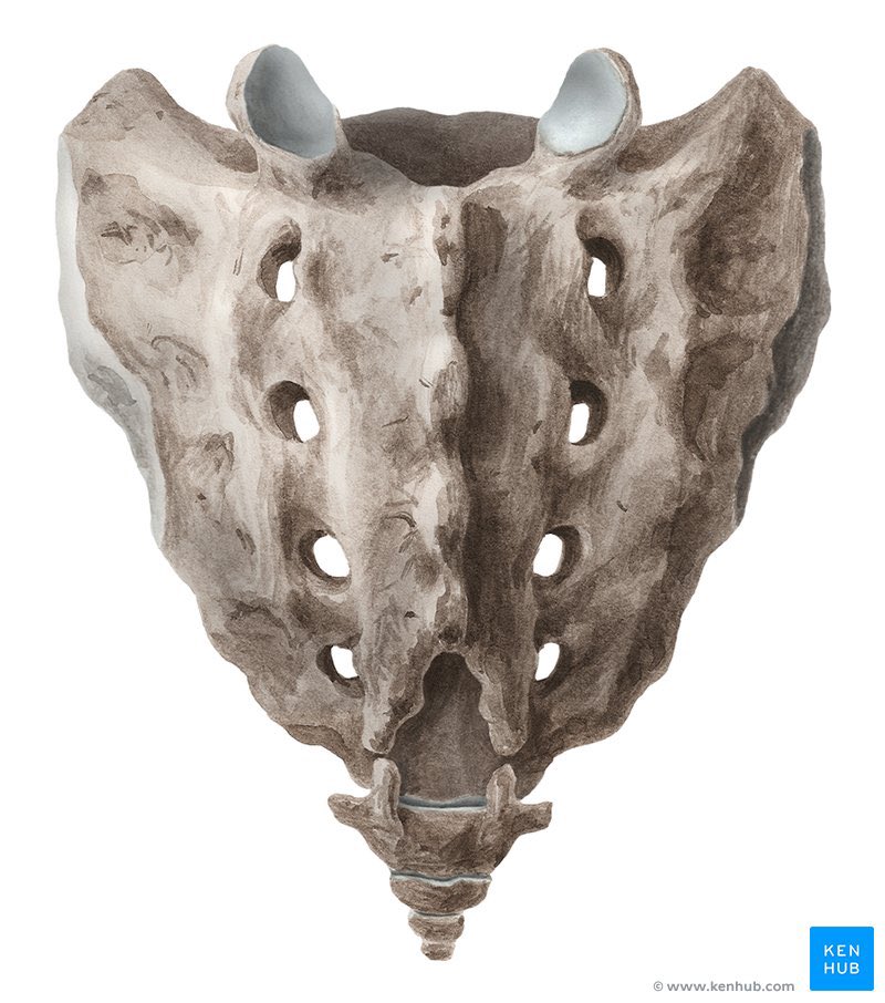 Putantza☠︎ tweet media
