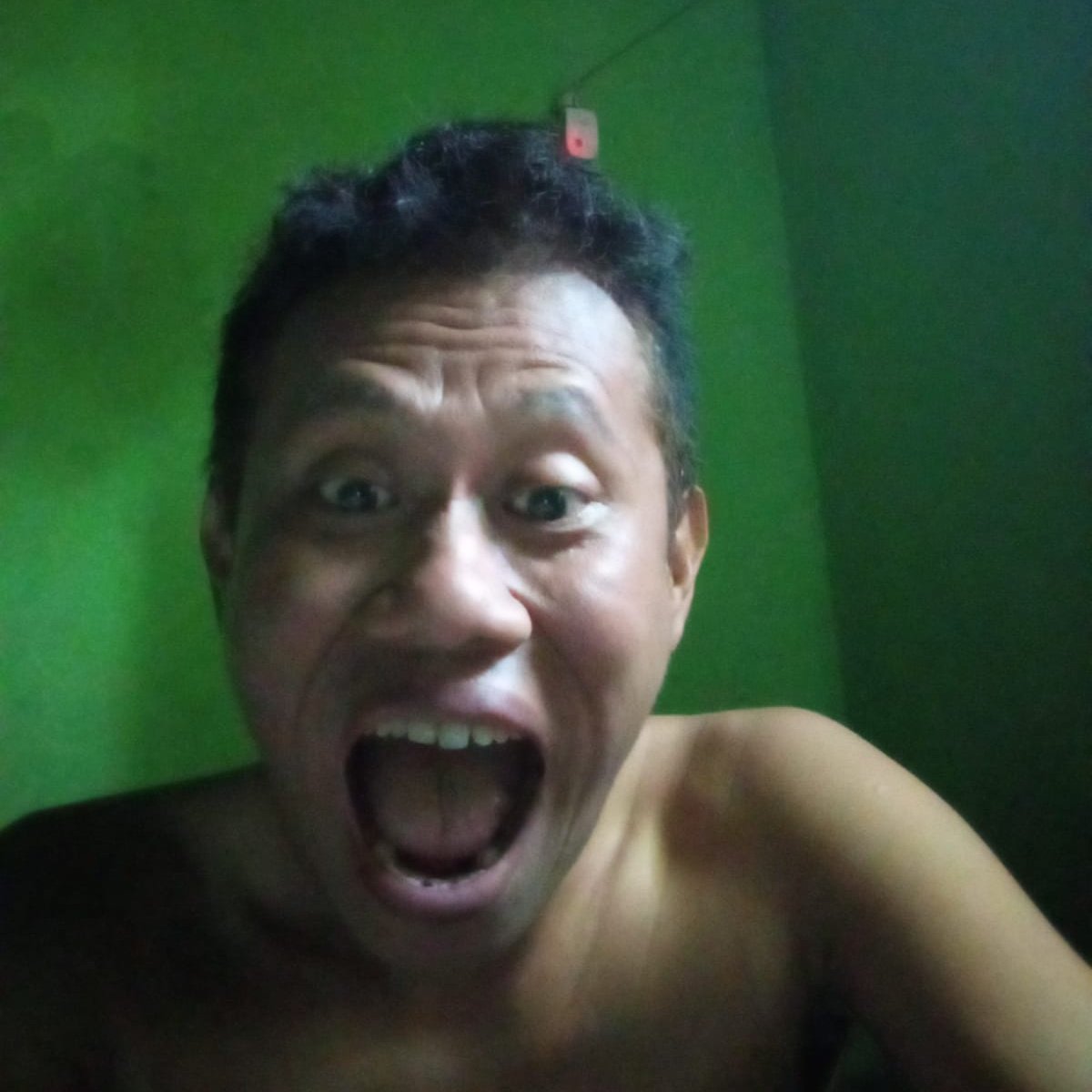 Nadendra Nigrocincta, Adv. tweet media