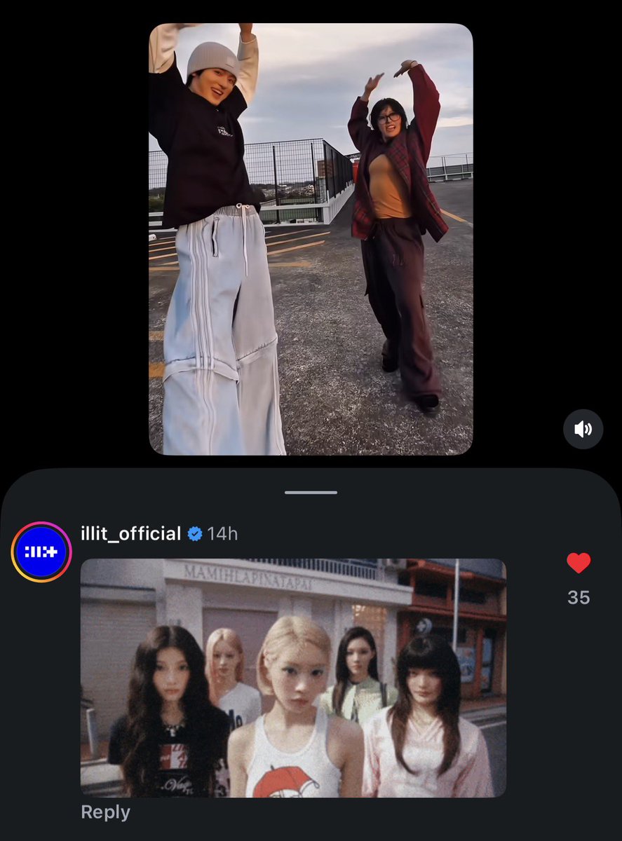 newquinn tweet media