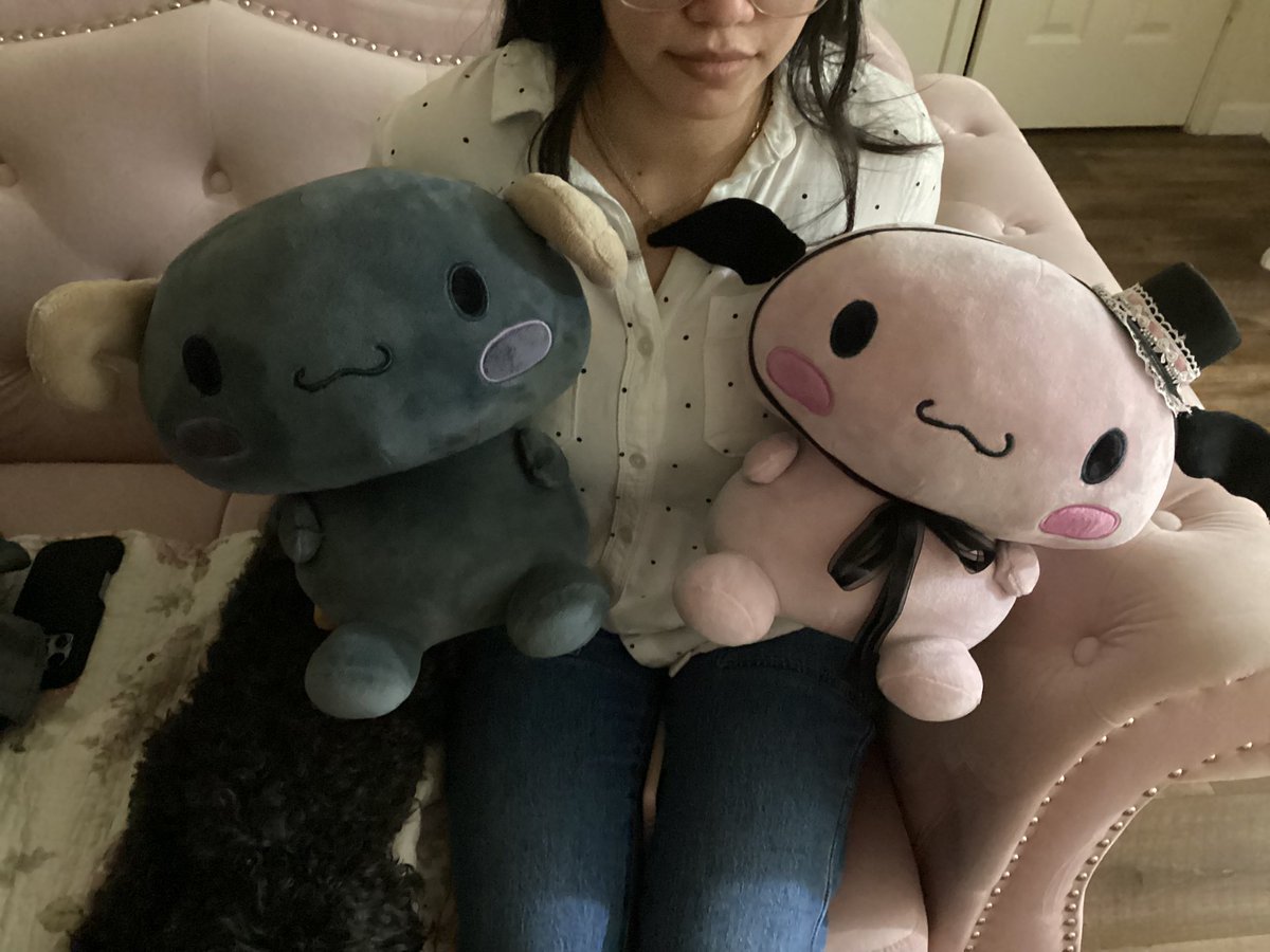 princesaadolly's tweet photo. Got tired of not having enough #lloromannic plushies I made my own🩷🖤#sanrio https://t.co/lKCHe6XOtH