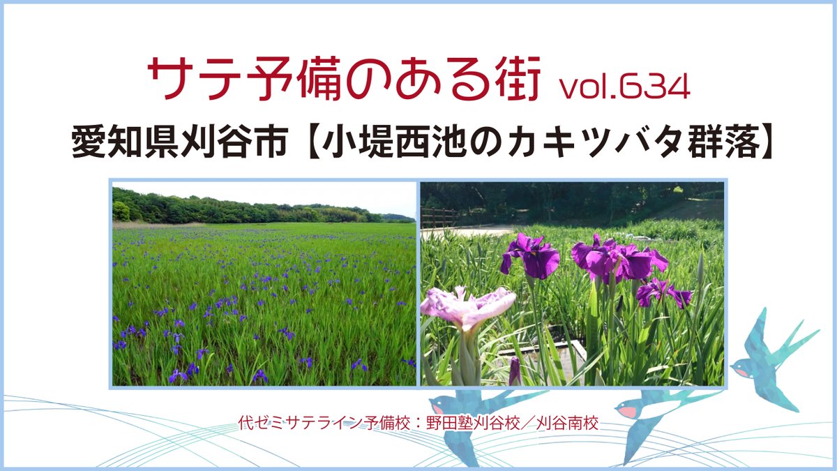 代ゼミサテライン予備校 (@yozemi_sateline) / Posts / X