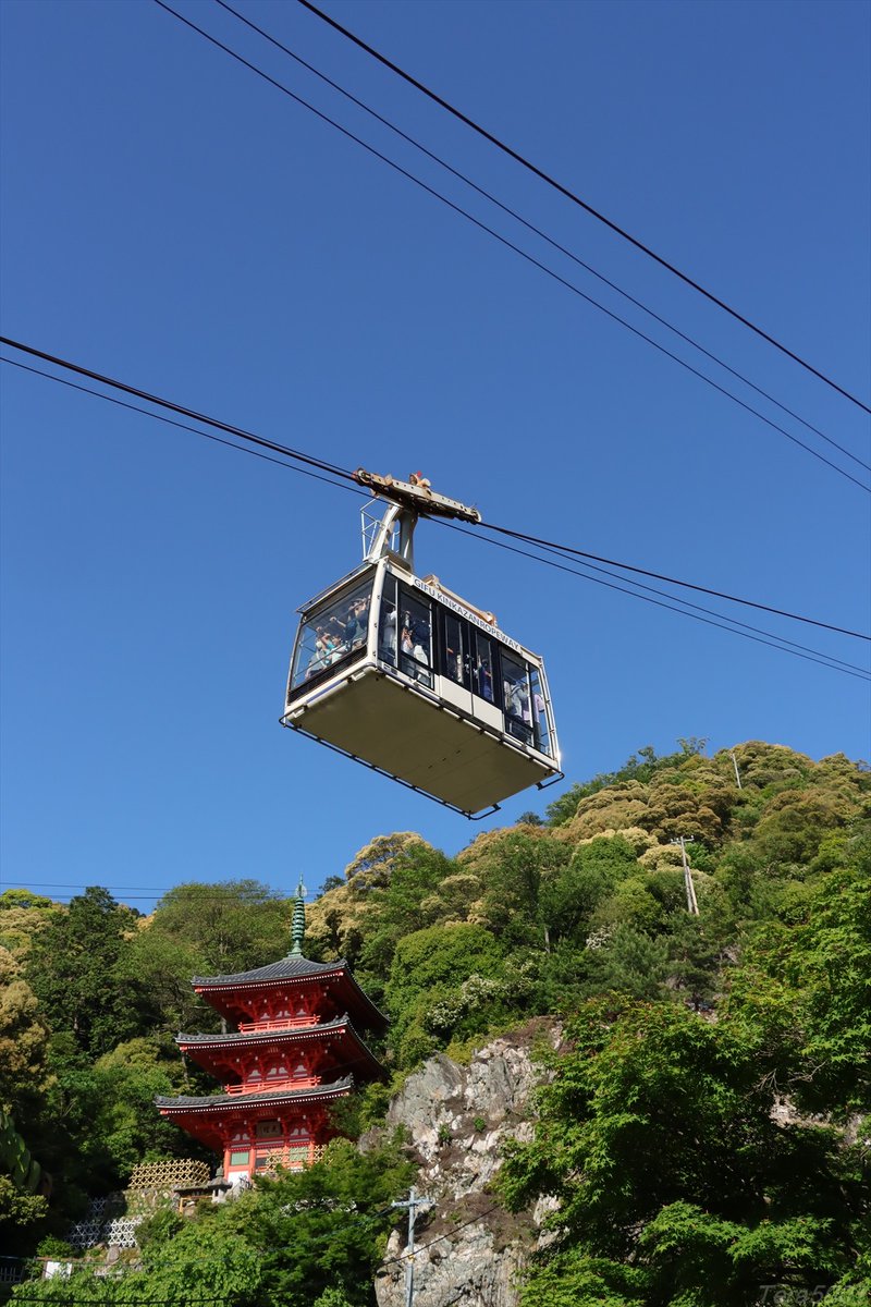 Tera5001's tweet photo. 岐阜城と言えば金華山ロープウェー（岐阜観光索道）。一応鉄道の範疇です。下から見て左が1号、右が2号。岐阜城とロープウェーを大きく写せそうな容易なポイントは無さそうです。（岐阜城からもあまり見えない）
2026.5.10 https://t.co/ouHPf9mVx1