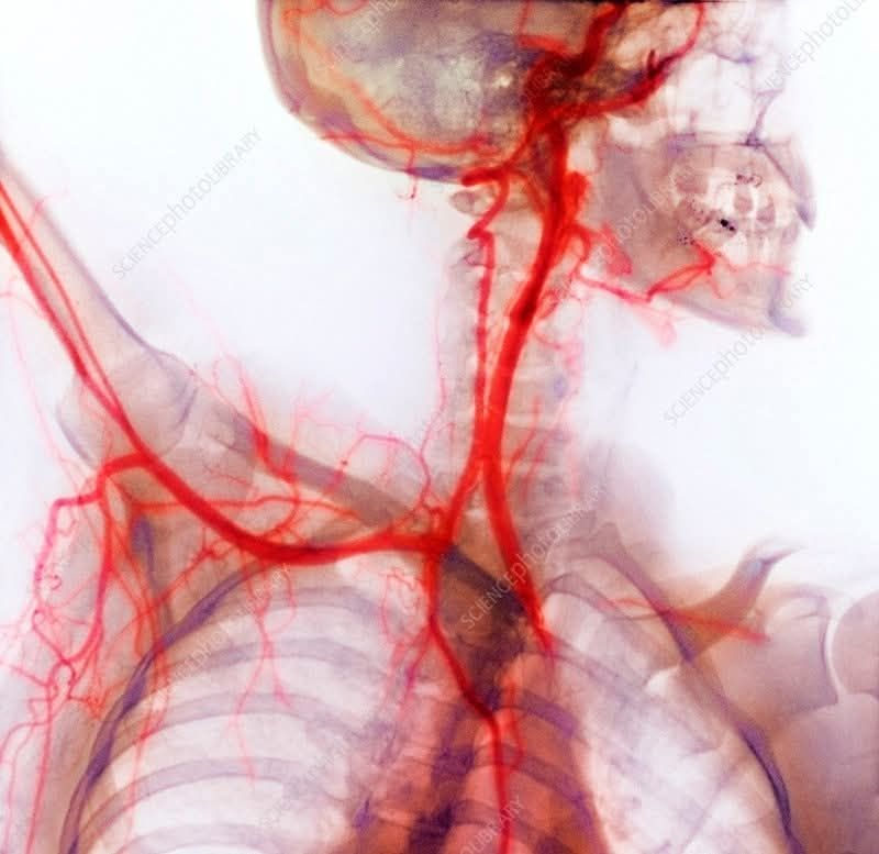 Bio_comunidad tweet picture