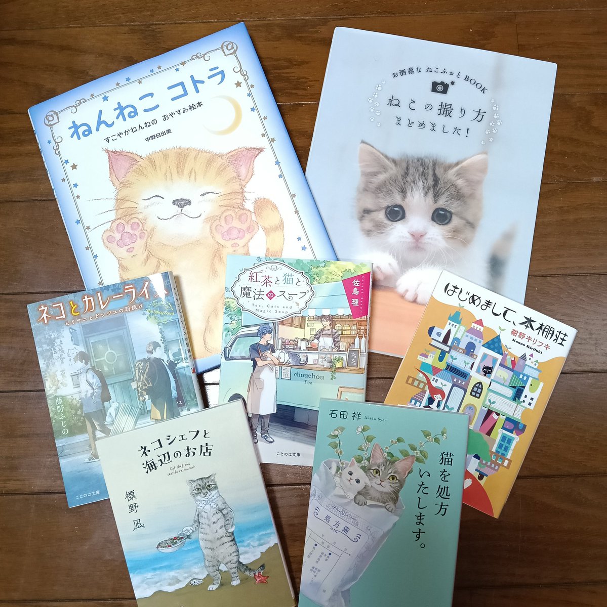 madokko_yuki's tweet photo. 今週土曜日は『ウツノミヤブックライツ2026』が開催されますね(行きたいけどお仕事なので残念)😿📚翌日の日曜日Rojiで１日店長やります(13時〜17時)😸お疲れかも知れません⁉️が『猫の本』で癒しの空間を準備してお待ちしてます😺来てね😻 #KMGWBOOKS  #Roji #本屋 #シェア型  #猫 #まどっこ #古本 https://t.co/T7Fn5ooTKl