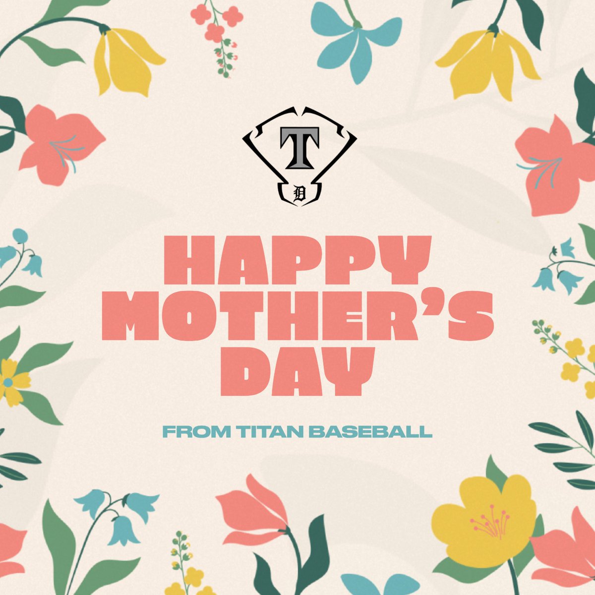 DHS Titan Baseball tweet media