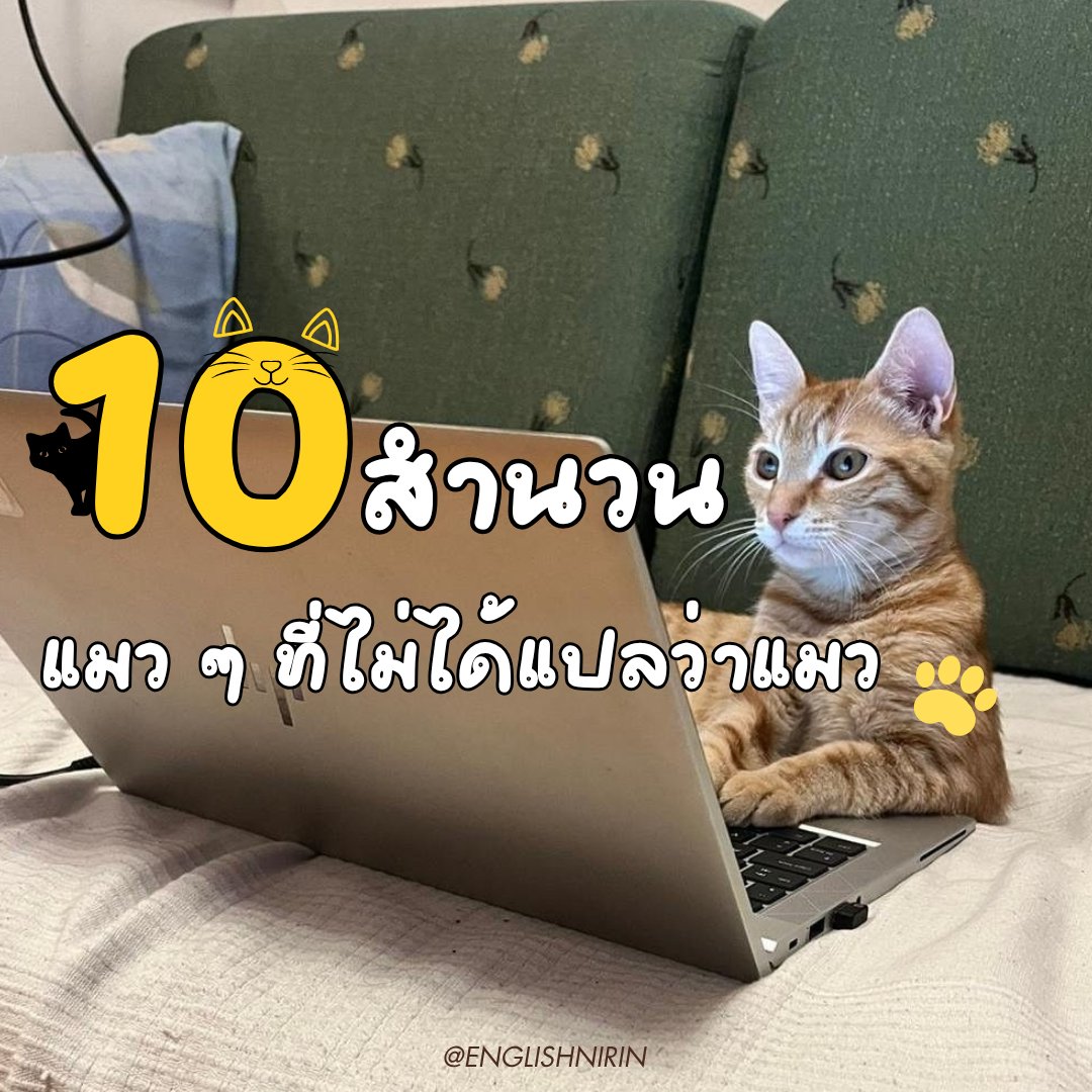 TGAT & A-LEVEL ENG - พี่หมอนิริน #DEK69 70 71 tweet media