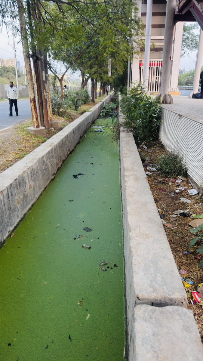 adogra_ail's tweet photo. @noida_authority @CeoNoida @ChiefSecyUP @CMOfficeUP @dmgbnagar @dr_maheshsharma @NandiGuptaBJP @PankajSinghBJP @UPGovt @MoHUA_India @InfoDeptUP Orignal clean Noida full of green water Noida @noi_authority @CeoNoida @dmgbnagar  Sec 142,143 https://t.co/a0a2Innqgt