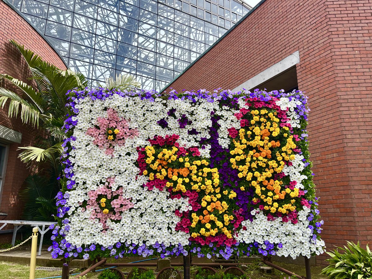夢の島熱帯植物館【公式】 tweet media