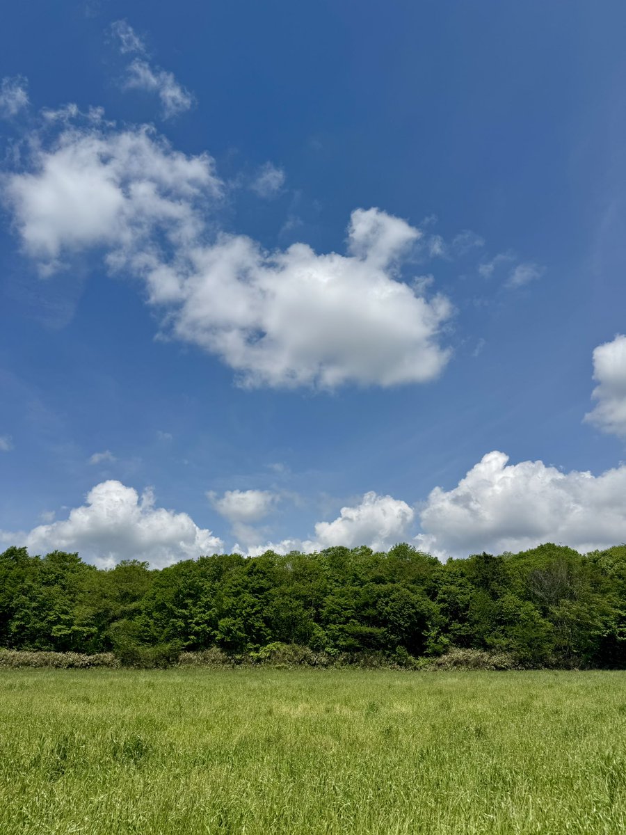 おはよ〜 🌤️🌤️🌤️

♪永遠なのか　本当か
　時の流れは続くのか
　いつまで経っても変わらない
　そんな物あるだろか♪