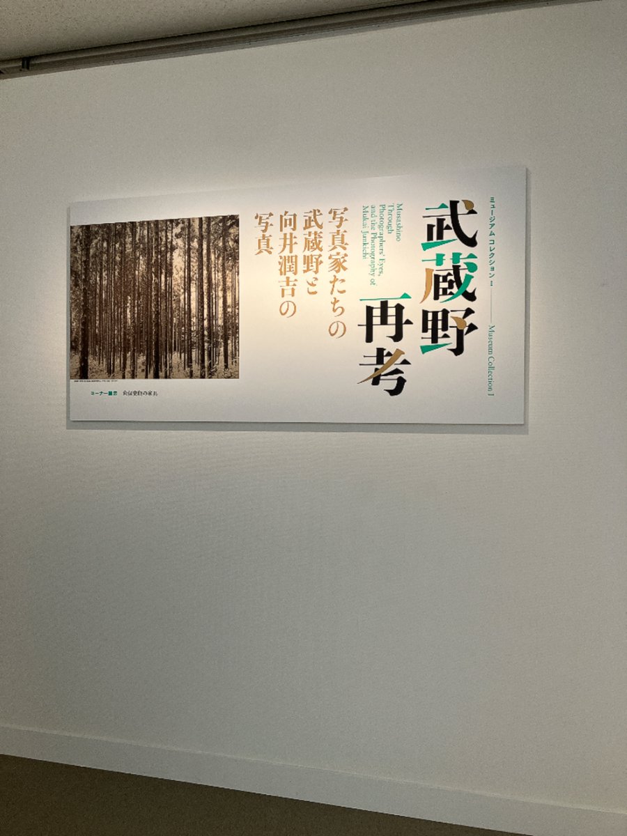 MEM_INC's tweet photo. 「武蔵野　再考」＠世田谷美術館
金村修さんの大全紙サイズのモノクロプリントが圧巻です。「武蔵野」というキーワードで、戦前から現在まで写真家の視点の見比べが面白いです。会場の最初の年表とあわせて「再考」してみてください。金村さんの撮影場所や年は、配布の作品リストに詳細が載っています https://t.co/CrBUawN4IG