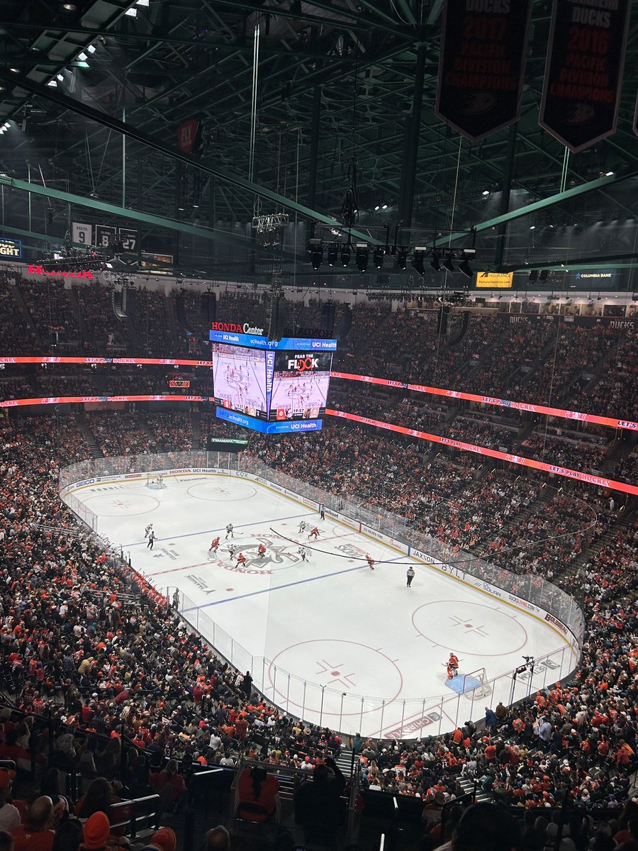 LETS GO DUCKS