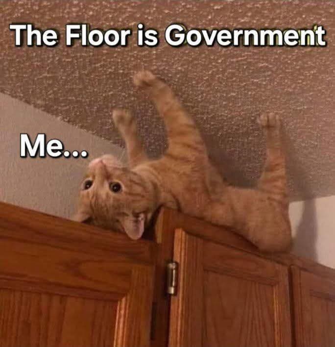 Meme The Politicians tweet media