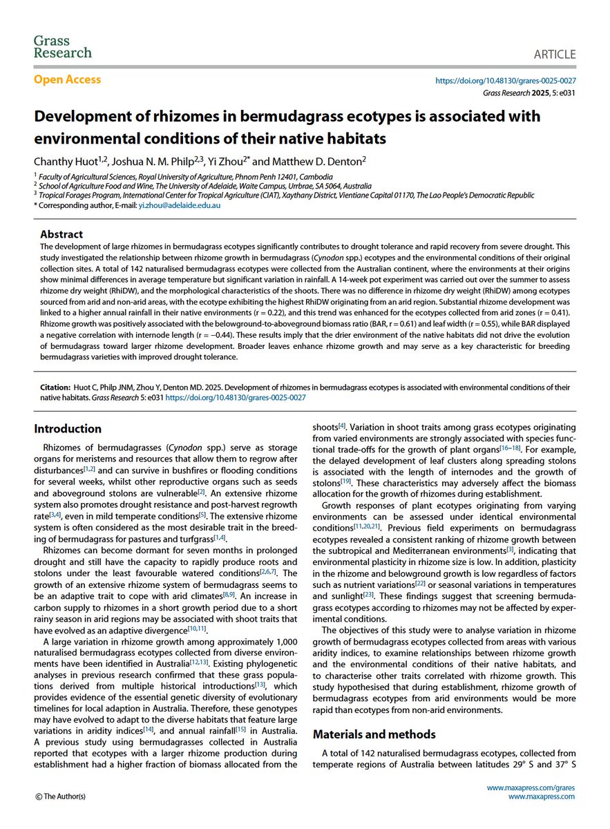 DentonLab's tweet photo. ⚡️NEW PAPER: bermudagrass rhizome size is linked more to leaf traits and biomass allocation than climate origin. Broad leaves may be a new target for improving drought resilience 👉 https://t.co/m3OJcxAVZP
@huot_chanthy Josh Philp @YiZhou1984 @_mattdenton_ @waiteresearch https://t.co/hwZHsppdLE