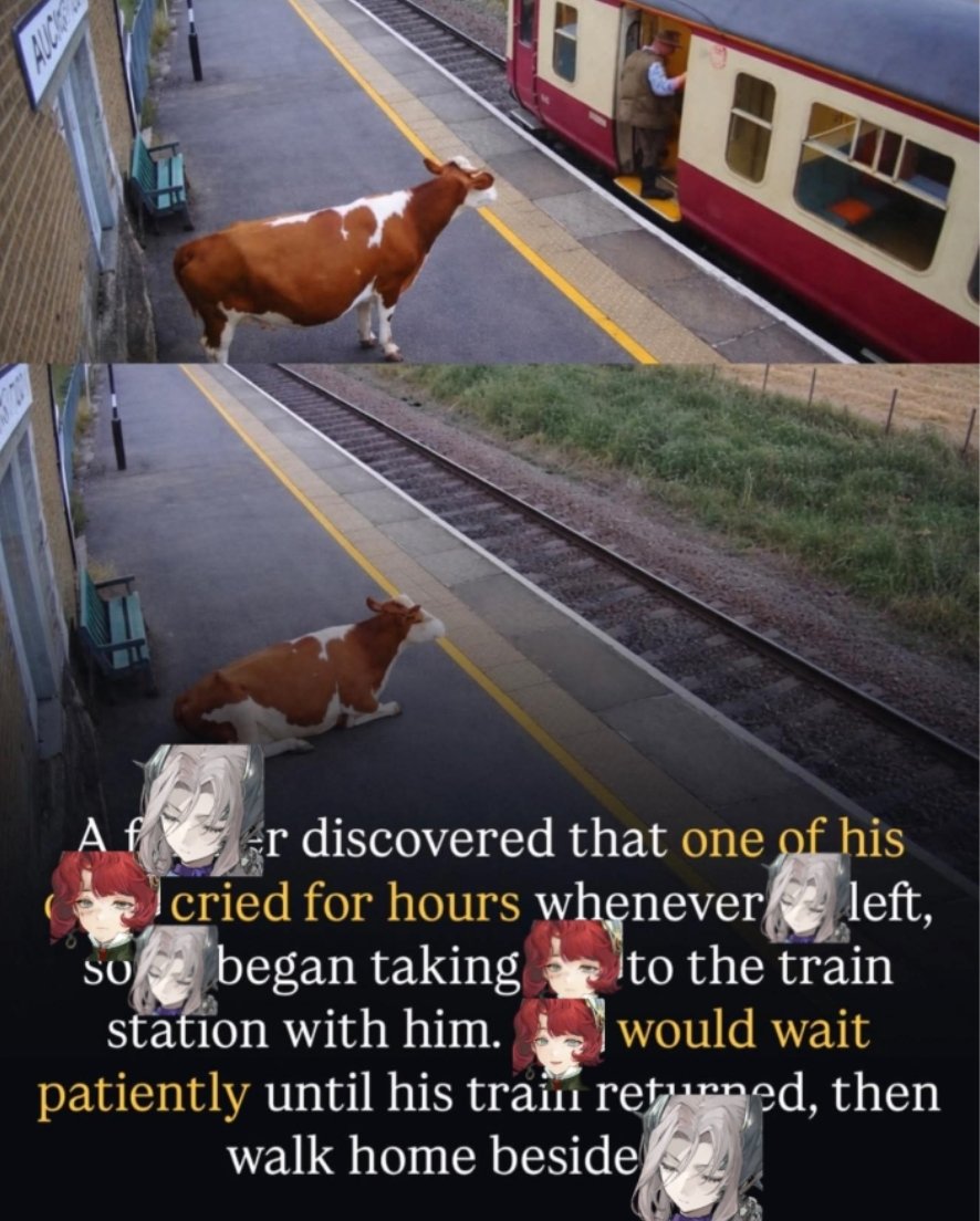 Dya / Ham (Himejoshing out) tweet media