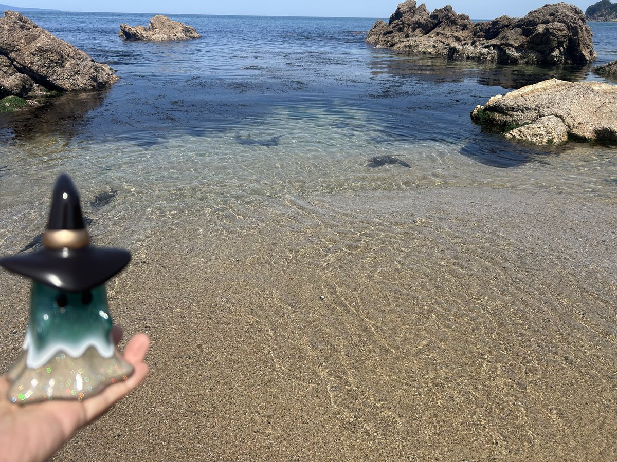 もっちぃ tweet media