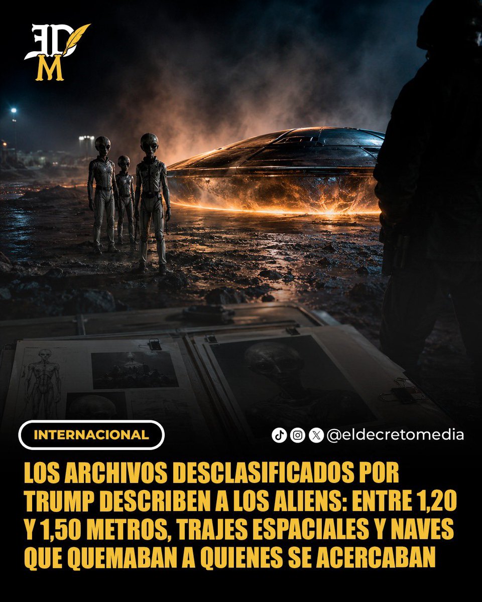 El Decreto Media tweet media