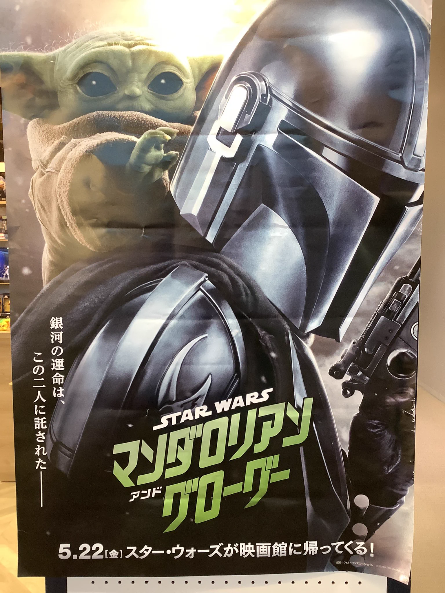Hasbro Store ハズブロストア on X: 