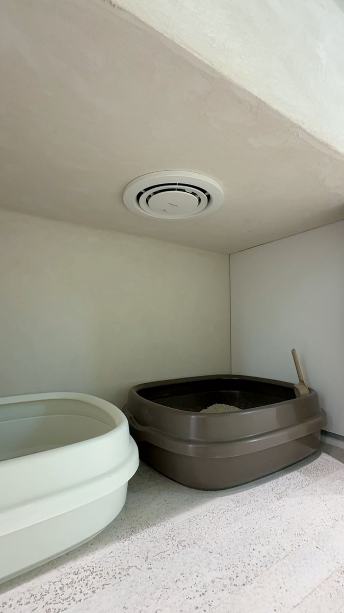 neko_fudosan's tweet photo. 猫のいる会社なので

猫のトイレの匂いは
ナノイーや換気扇で対策 https://t.co/GEyAJqJYHJ