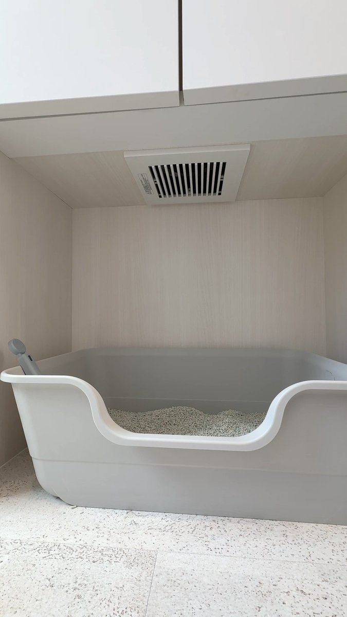 neko_fudosan's tweet photo. 猫のいる会社なので

猫のトイレの匂いは
ナノイーや換気扇で対策 https://t.co/GEyAJqJYHJ