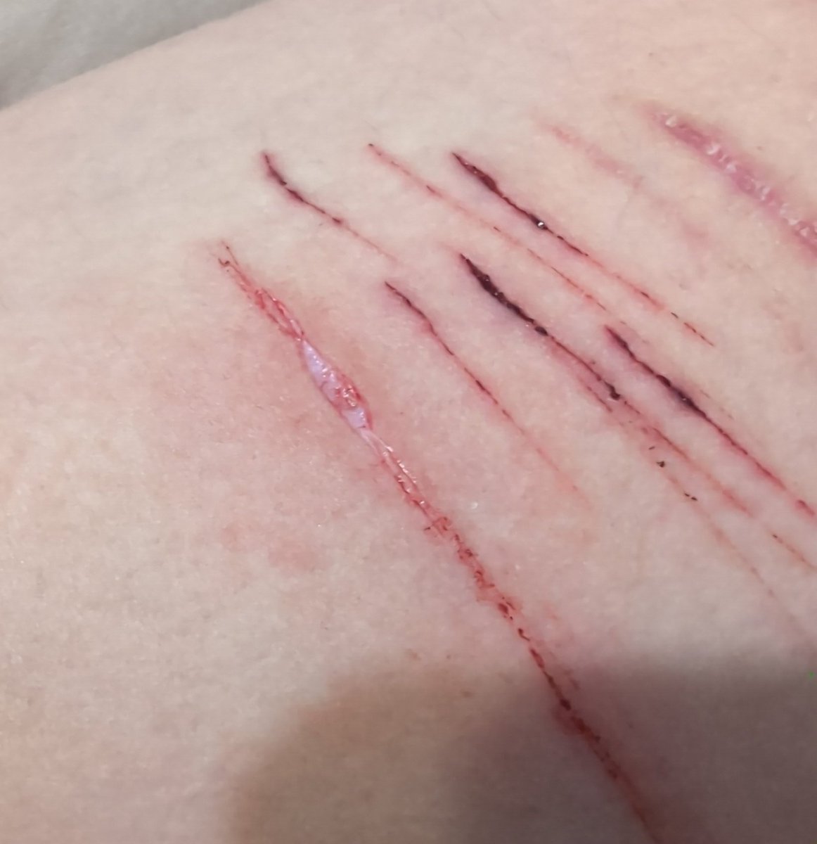 TrollChat168634's tweet photo. Oh yeah not bby beans I'm done #shtwt #fakesfx #ai https://t.co/8NeiR7rN5Z