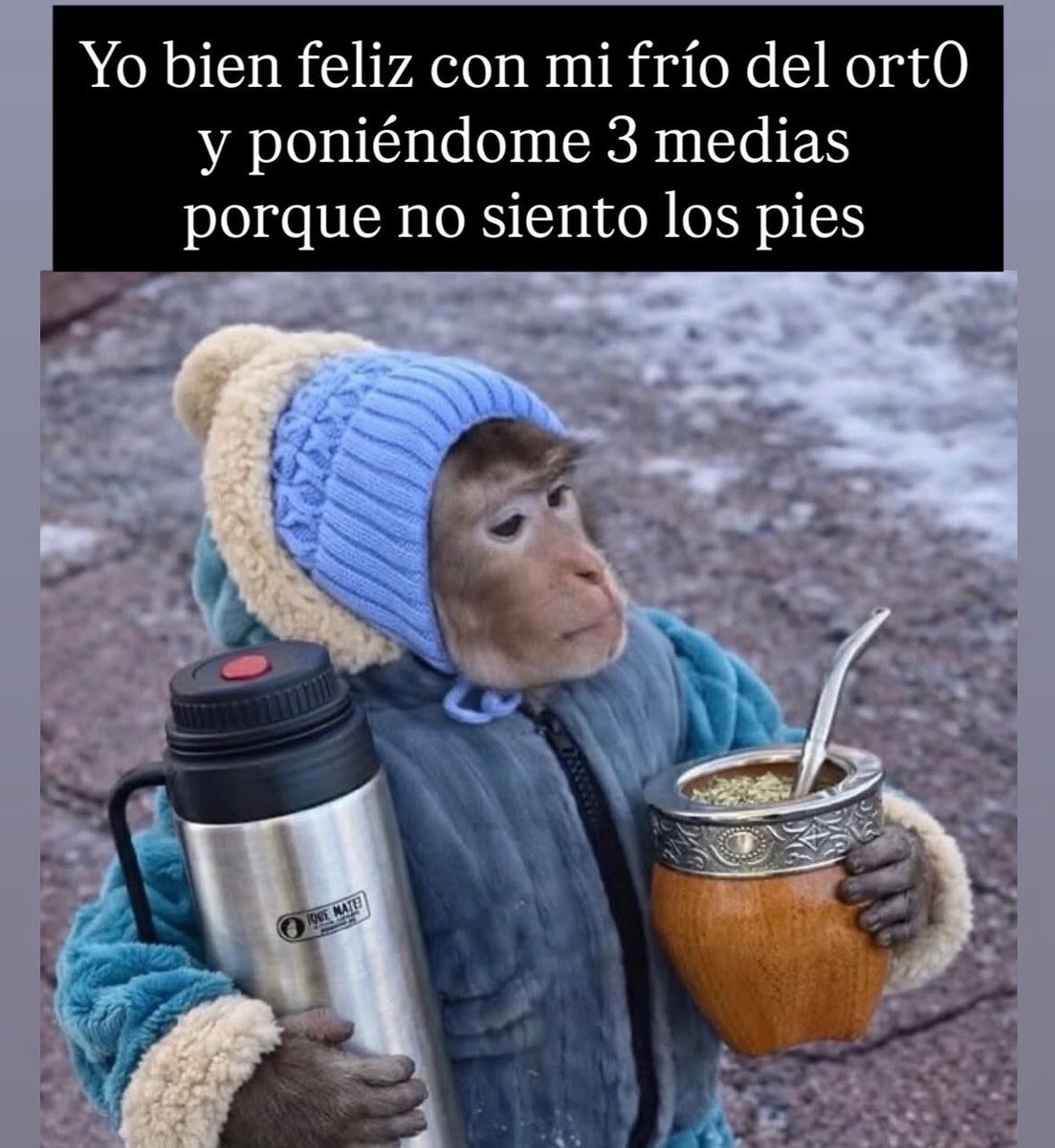 Daniela Sánchez tweet media