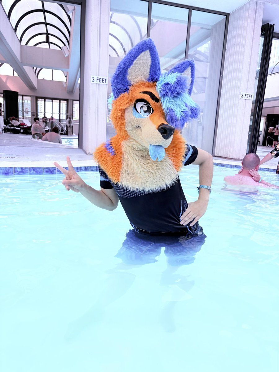 ⚡️Capy Sly Fox✈️FWA⚡️ tweet media