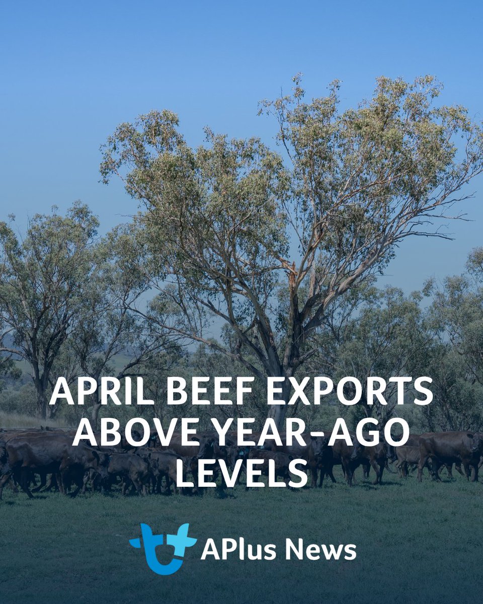 AuctionsPlus tweet media