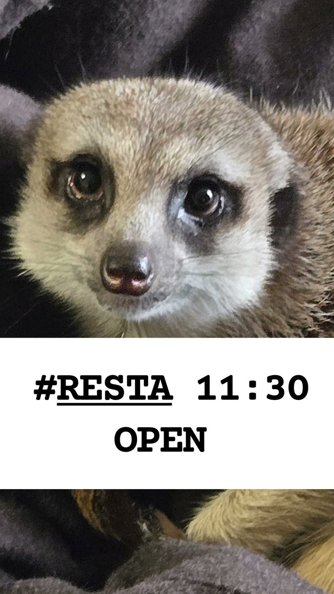 RESTA西九条　Cafe&Music tweet media