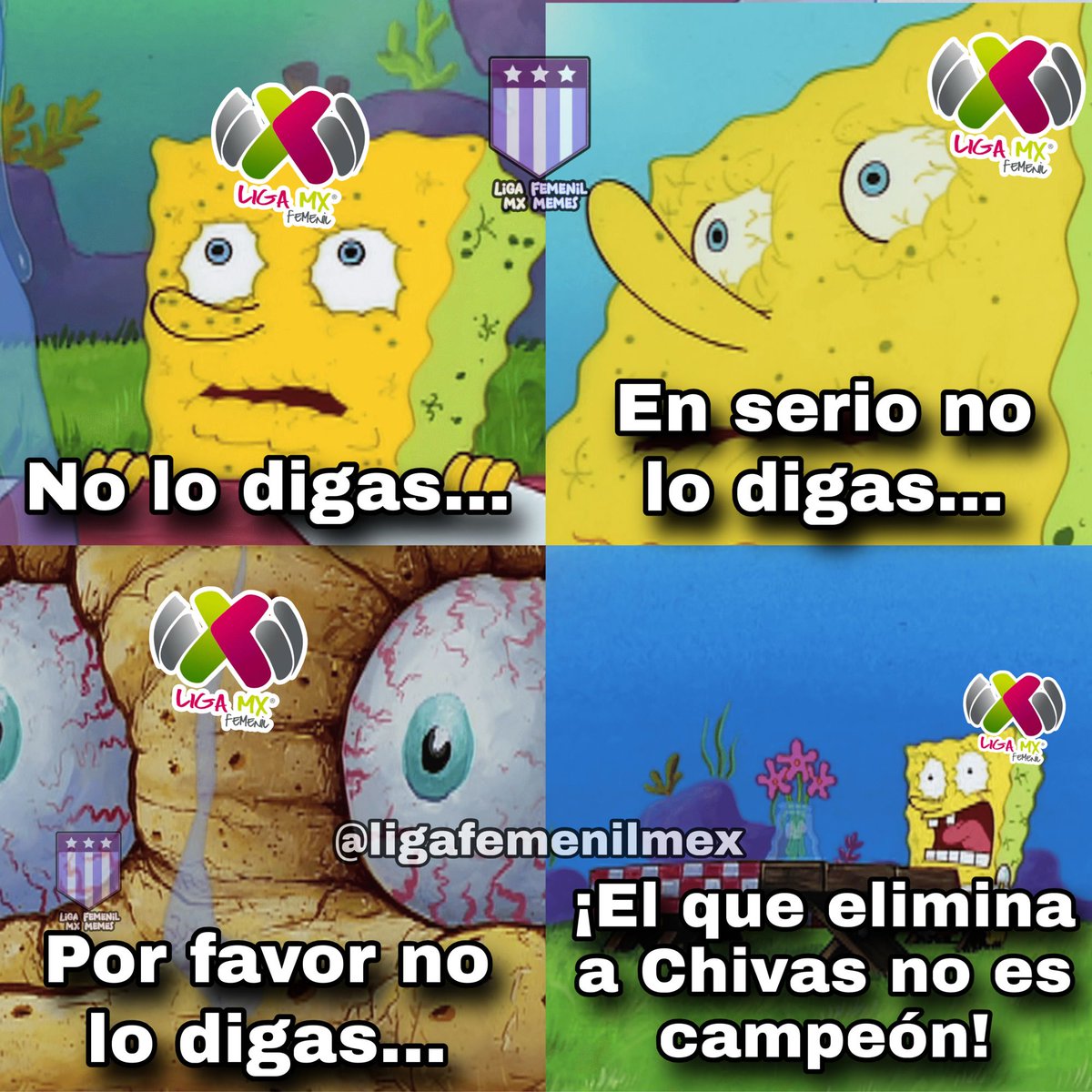 Liga Femenil MX Memes tweet media
