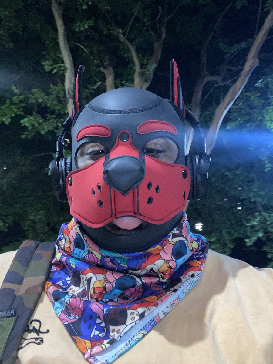 Pupfury🐾 tweet media