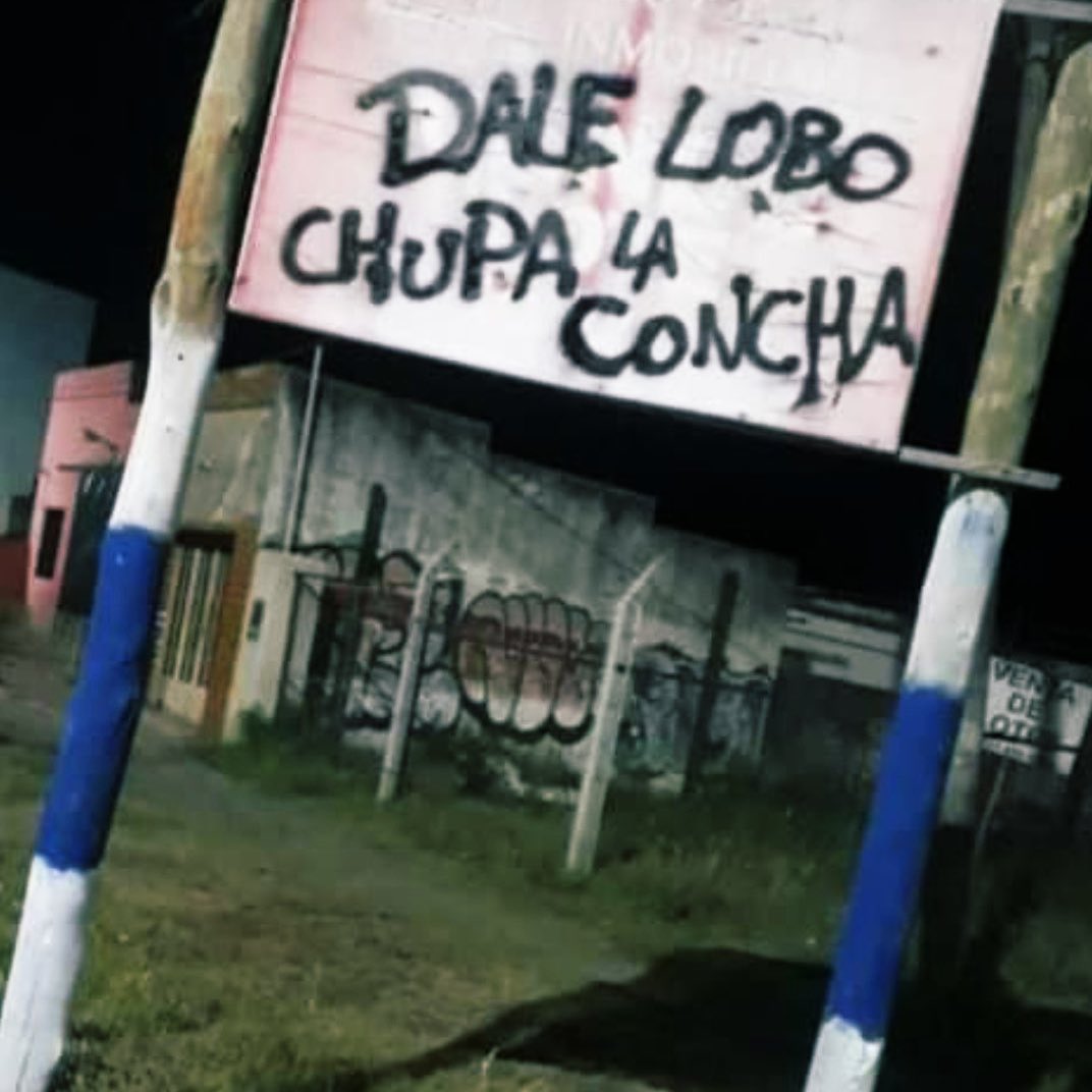 Coni Jara🐺🏳️🌈 tweet media