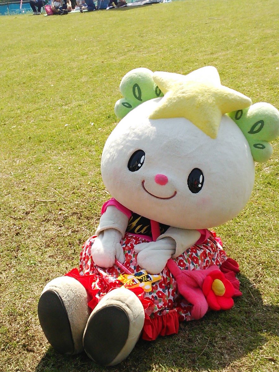 たかたのゆめちゃん【公式 】 tweet media