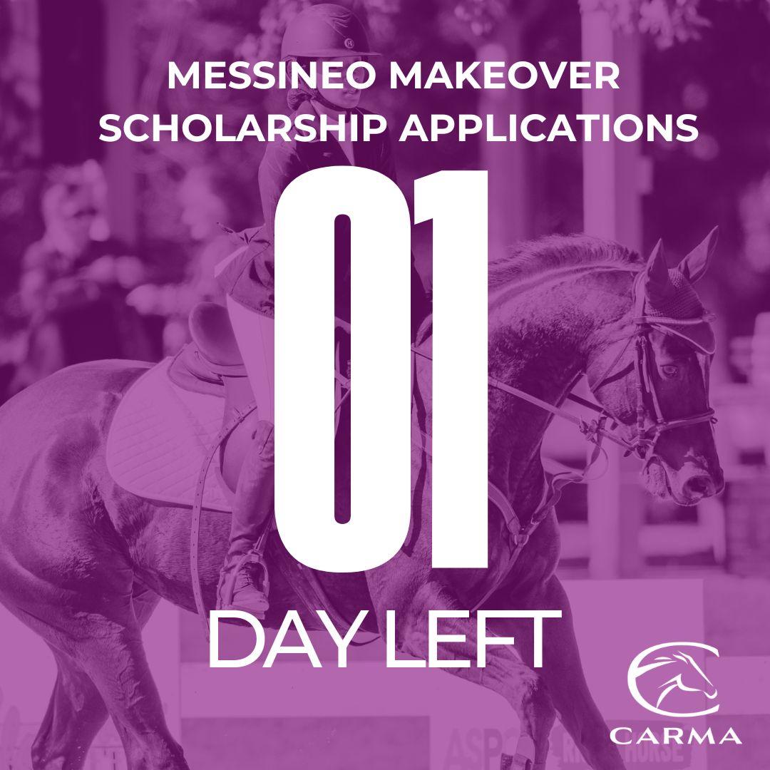 CARMAcares's tweet photo. Last call ❤️

Applications for the Messineo Makeover Scholarship close tomorrow.

If you’re attending the Thoroughbred Makeover with a CARMA Placement Program graduate, now is the time to apply for travel support assistance through CARMA.

We can’t wait to help showcase more CARMA graduates on the national stage this year.

Apply now: https://t.co/lpbtj8BZmj

Photo credit: Erin Gilmore Photography
@RRP_TBMakeover