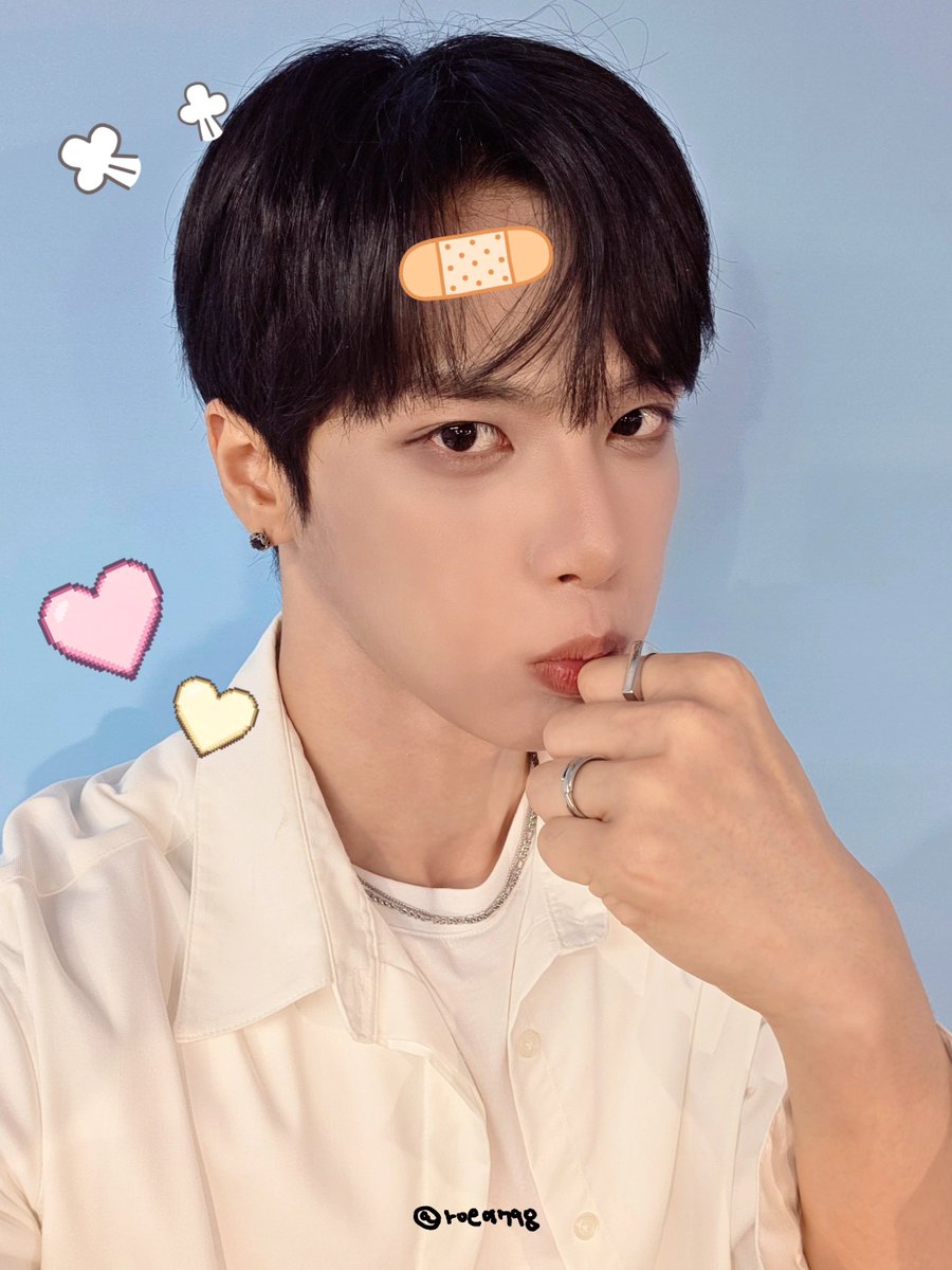 🐻❄️❄️로에🐻🫛 tweet media