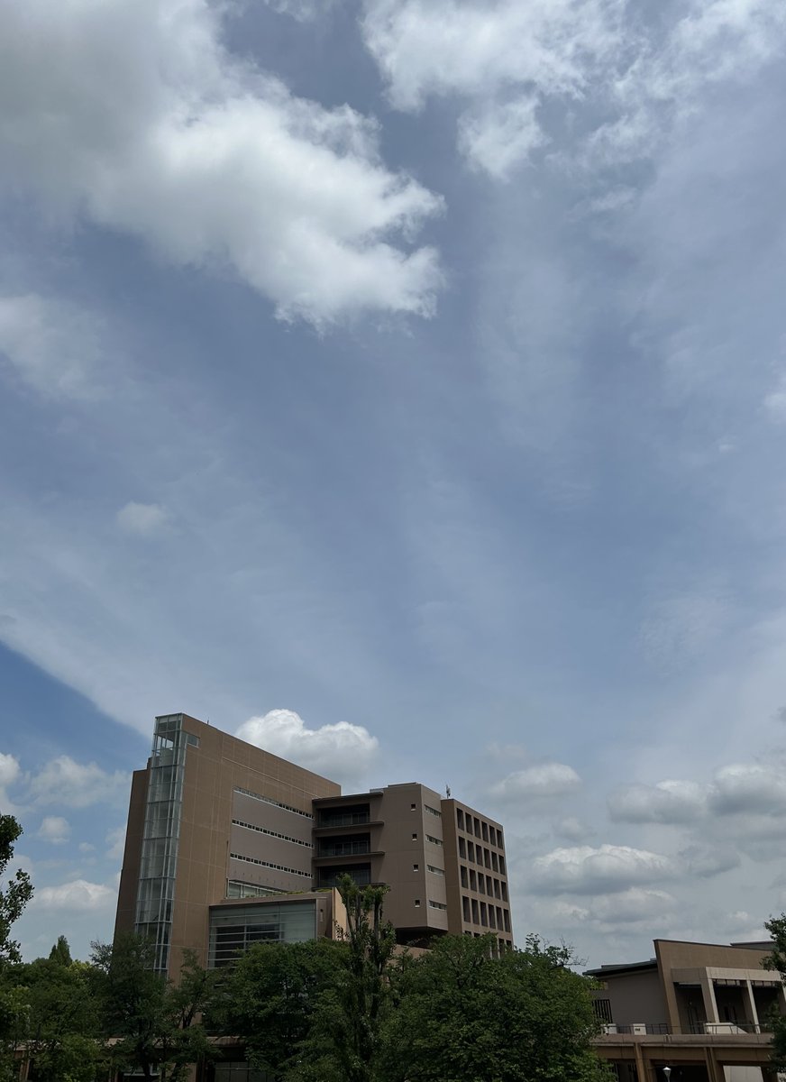 東京外国語大学, TUFS (@TUFS_PR) / Posts / X