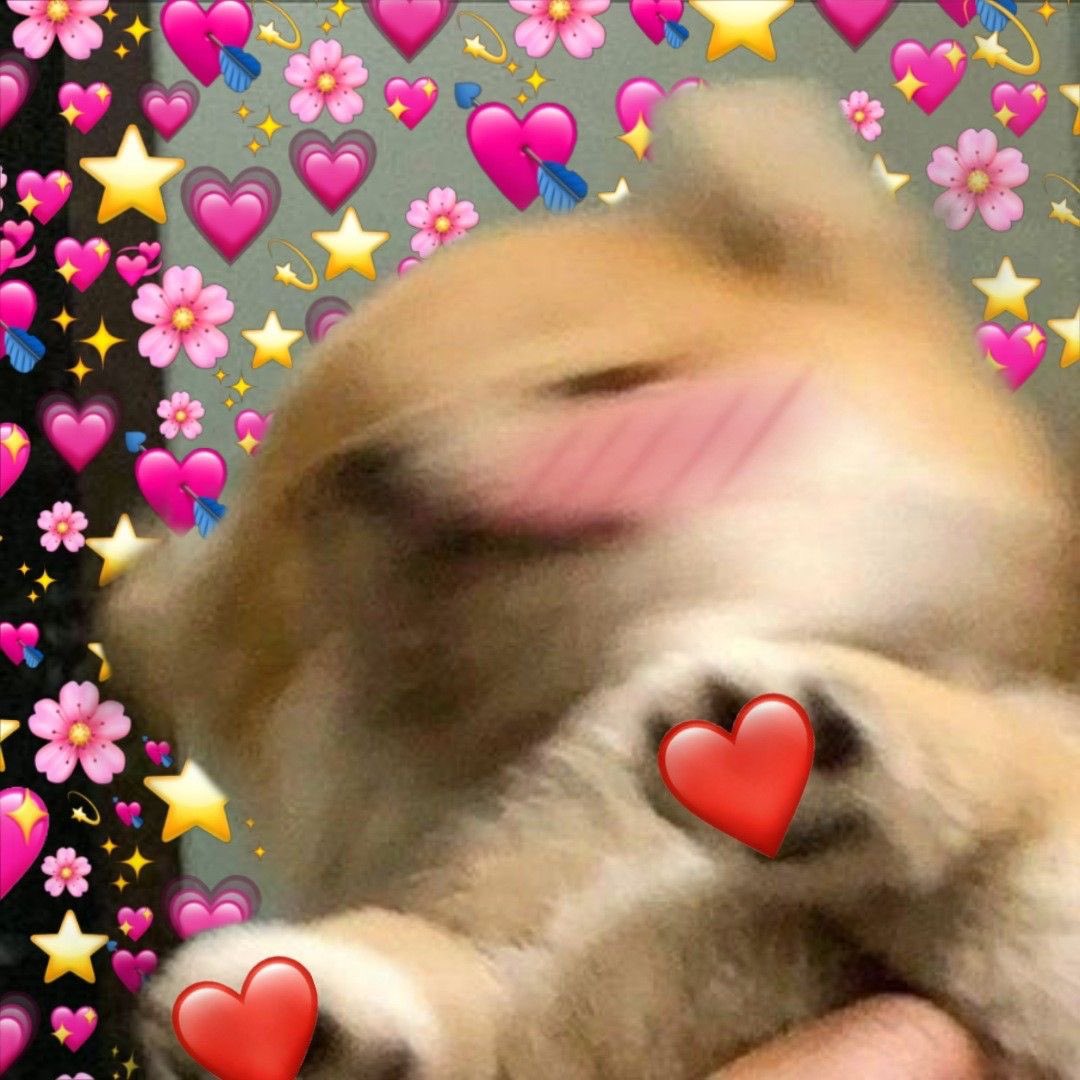 ꒰ #loverrukk ꒱😸💖🤏🏻