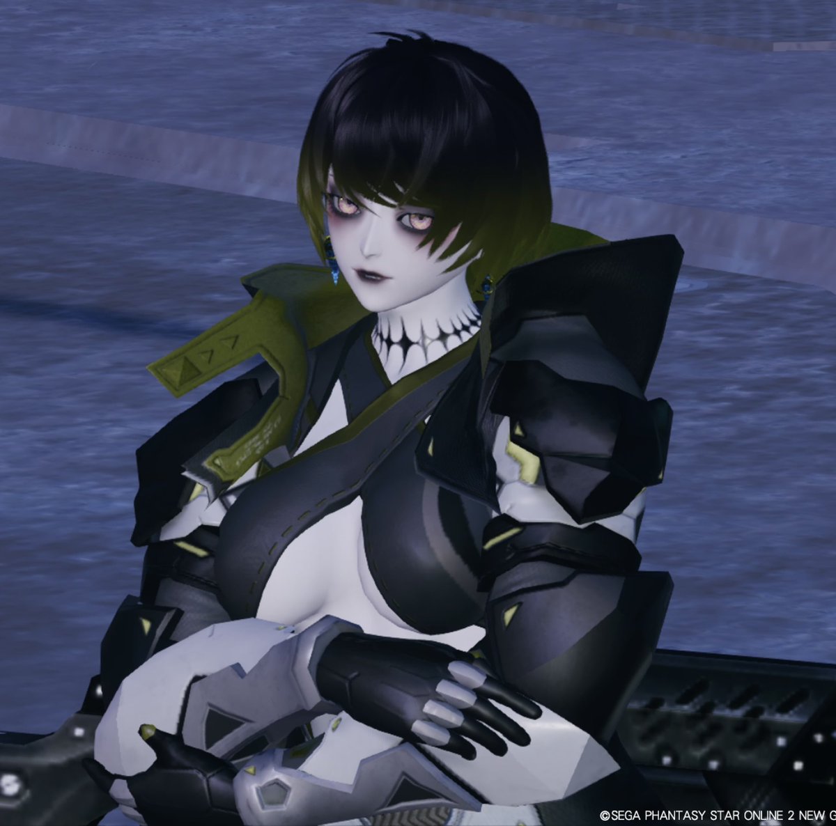 レイアに憧れるPSO2ngsプレイヤー tweet media