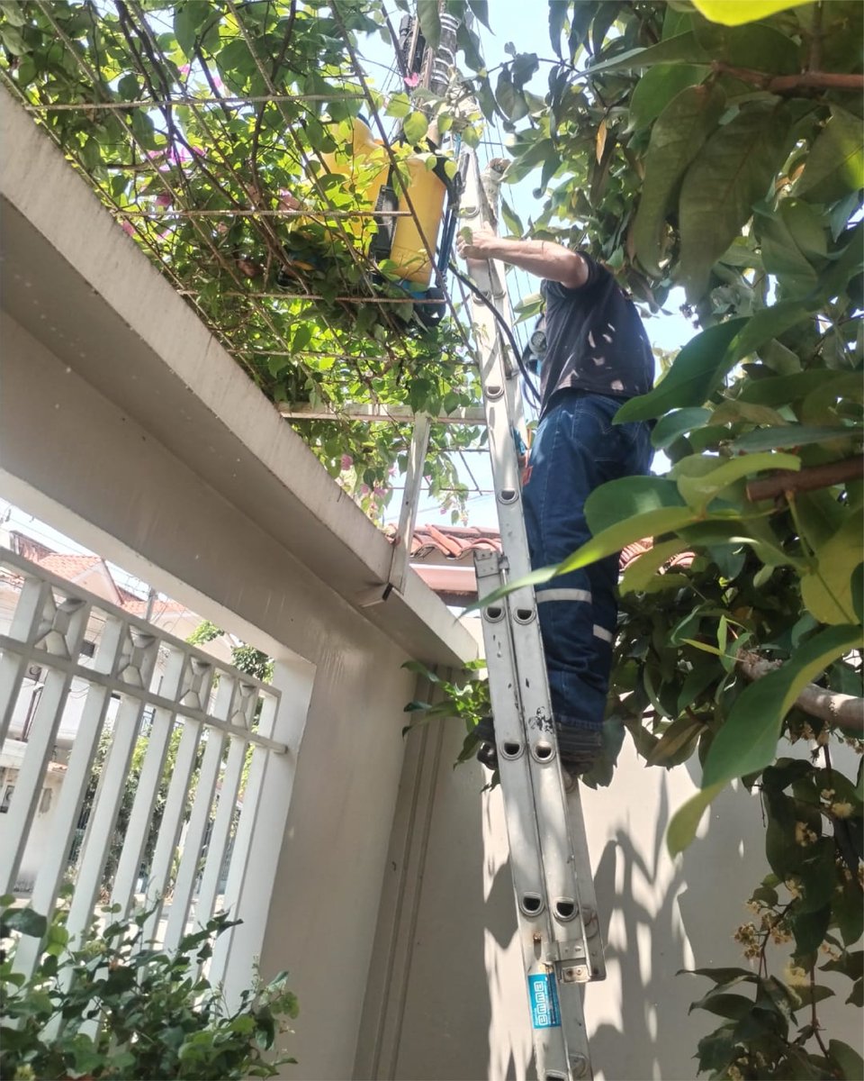 bht_cdp's tweet photo. ¿Ese polvito en el piso no es basura, son tus muebles desapareciendo! 😱 El clima de la Costa es el paraíso para las termitas, pero nosotros somos su peor pesadilla. 🚫🐜 No esperes a que se coman tu inversión. ¡Hacemos inspección y control total con garantía!
#guayaquil #termita https://t.co/6Fc40UA66E