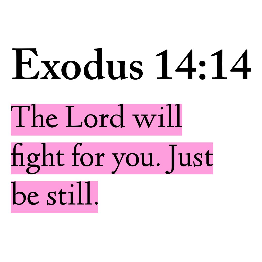 Psalms tweet media