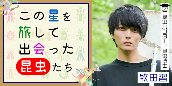 NHKカルチャー (NHK文化センター) tweet media