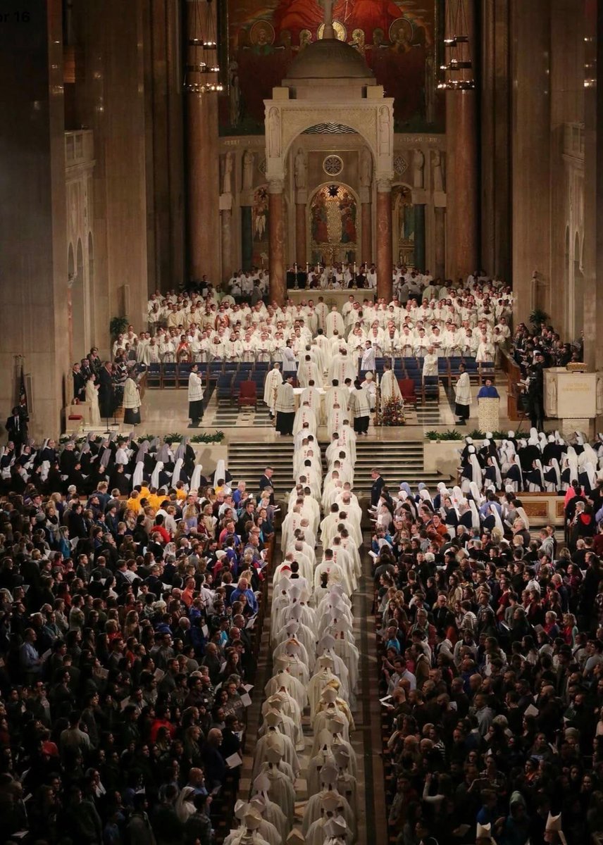 𝚕𝚒𝚝𝚝𝚕𝚎 𝚘𝚗𝚎 ♱🇻🇦 tweet media