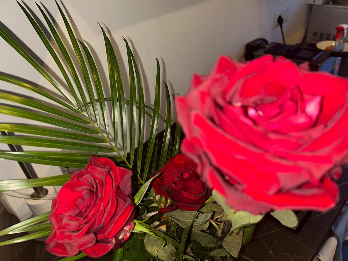 Happy mothersday to you all🥰 you are all great mommys and milfs🤭 #mothersday #milfs #cuckold