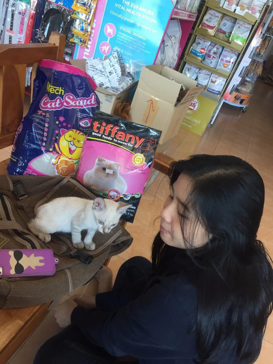 ป้อมชอบกินเปียกรสไก่ tweet media