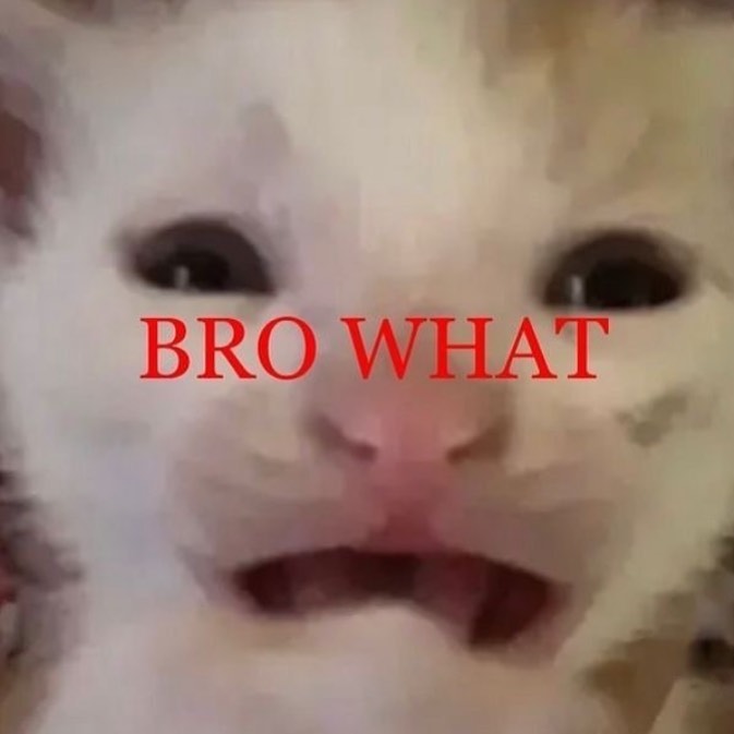 Punch Cat tweet media
