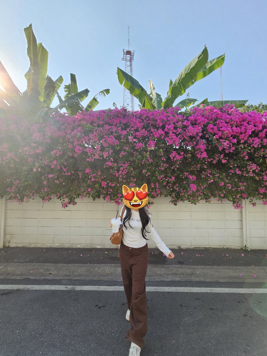 ⭐พร้อมส่งฟิคและอื่นๆ 🥰 tweet media