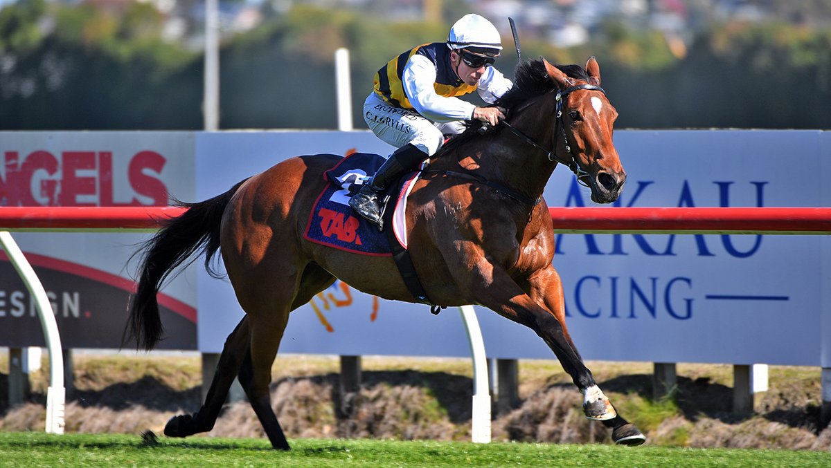 Trackside NZ tweet media