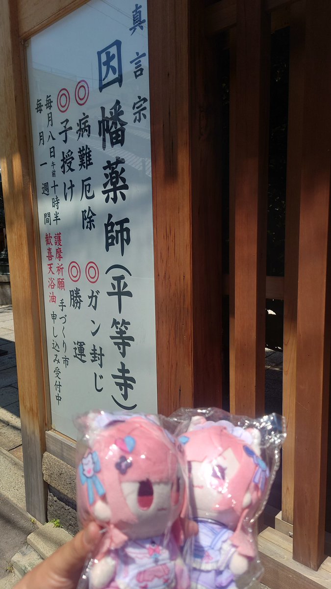 HIJMS_Y_HALya's tweet photo. 因幡堂平等寺さんに参拝して来ました。
母方祖母のガン封じを祈願して来ました。
#推し旅
#397CP
#さくなぬいKyoto
#結城さくな https://t.co/7qkfuyQIyC