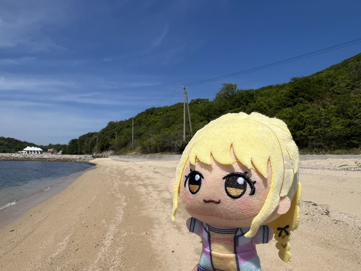 究極ぬいモンキー tweet media
