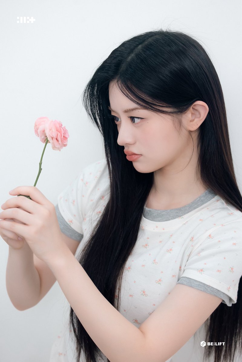 MINJU GLOBAL tweet media